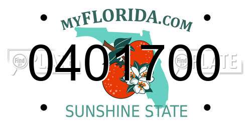 0401700 Florida License Plate