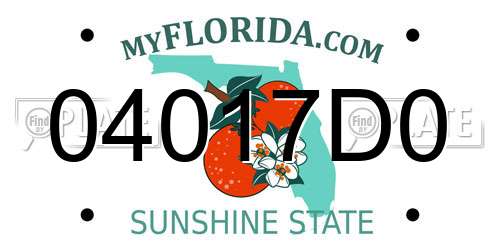 04017D0 Florida License Plate