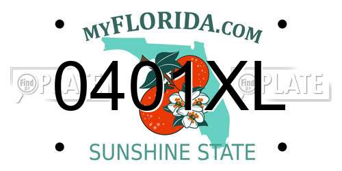 0401XL Florida License Plate