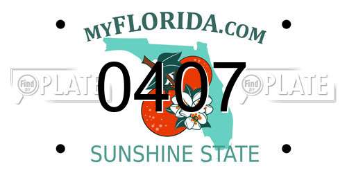0407 Florida License Plate