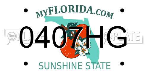 0407HG Florida License Plate