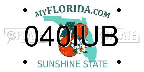 040IUB Florida License Plate