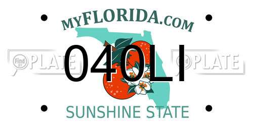 040LI Florida License Plate
