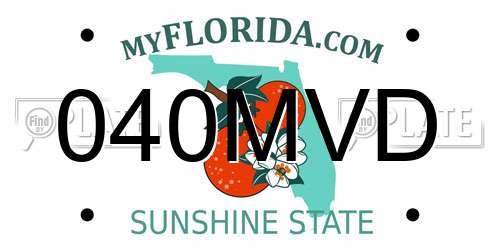 040MVD Florida License Plate