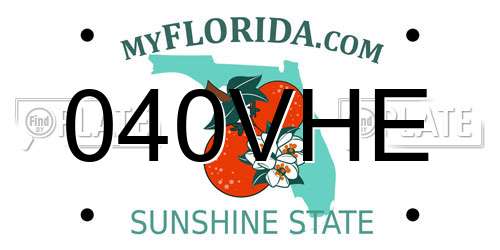 040VHE Florida License Plate