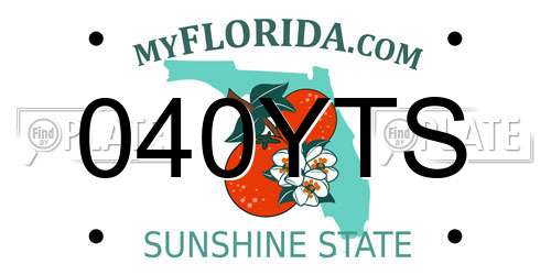 040YTS Florida License Plate