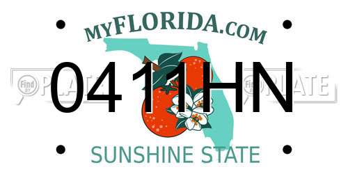 0411HN Florida License Plate