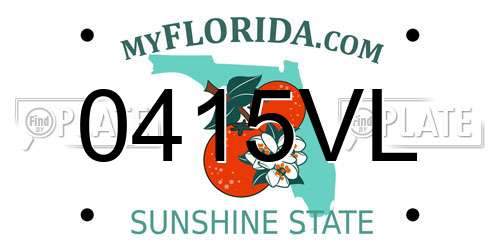 0415VL Florida License Plate
