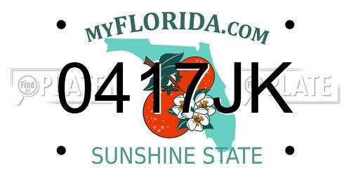 0417JK Florida License Plate