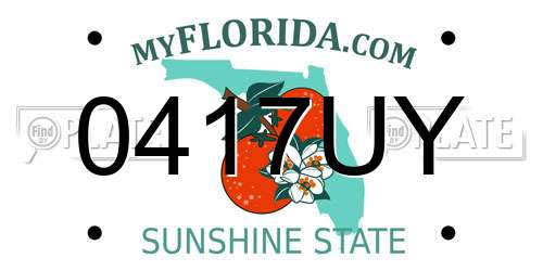 0417UY Florida License Plate