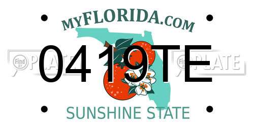 0419TE Florida License Plate