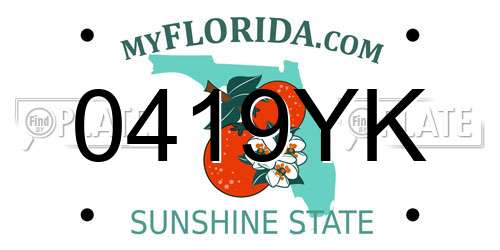 0419YK Florida License Plate