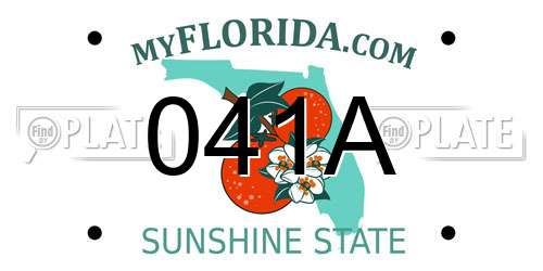 041A Florida License Plate