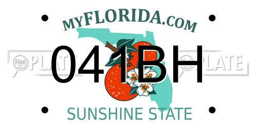 041BH Florida License Plate