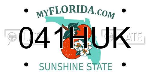 041HUK Florida License Plate