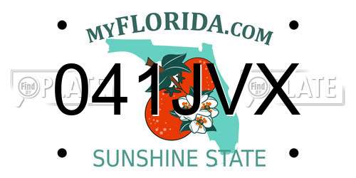 041JVX Florida License Plate