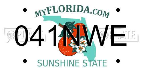 041NWE Florida License Plate