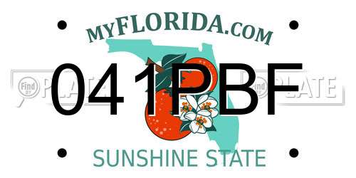 041PBF Florida License Plate