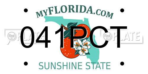 041PCT Florida License Plate