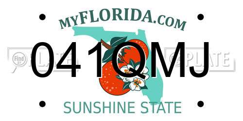 041QMJ Florida License Plate