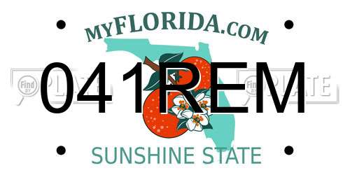 041REM Florida License Plate