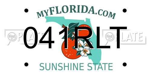 041RLT Florida License Plate