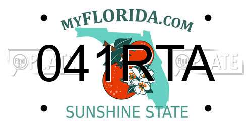 041RTA Florida License Plate