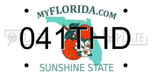 041THD Florida License Plate