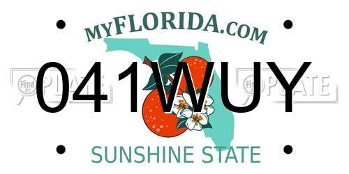 041WUY Florida License Plate