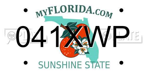041XWP Florida License Plate