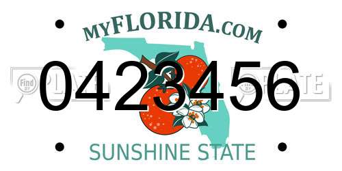 0423456 Florida License Plate