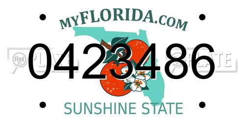 0423486 Florida License Plate