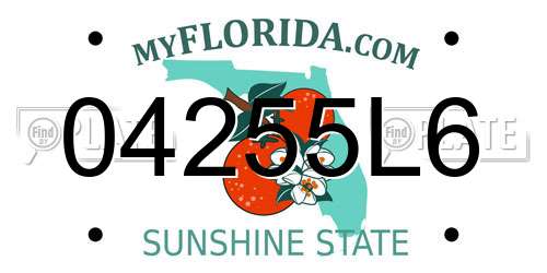 04255L6 Florida License Plate