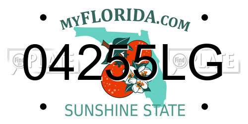 04255LG Florida License Plate