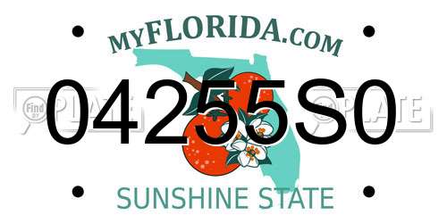 04255S0 Florida License Plate