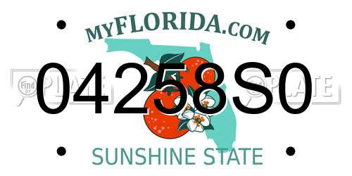 04258S0 Florida License Plate