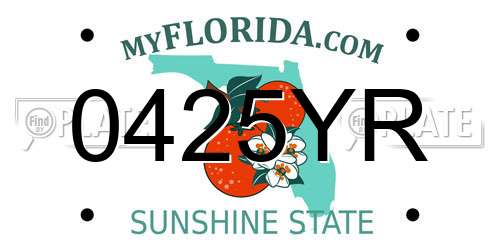0425YR Florida License Plate