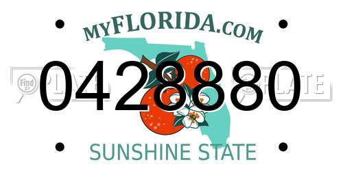 0428880 Florida License Plate