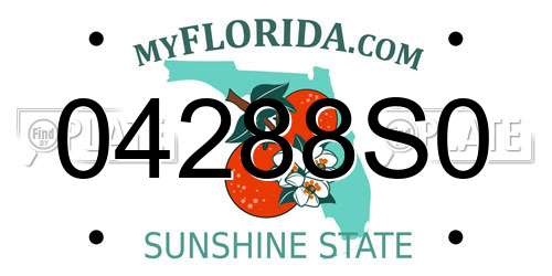 04288S0 Florida License Plate