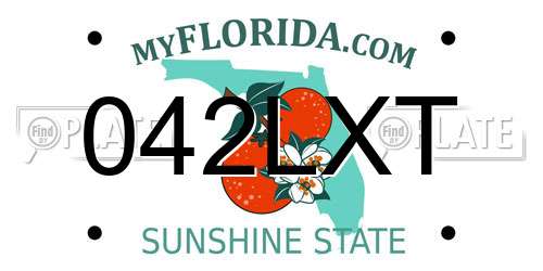 042LXT Florida License Plate