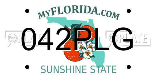 042PLG Florida License Plate