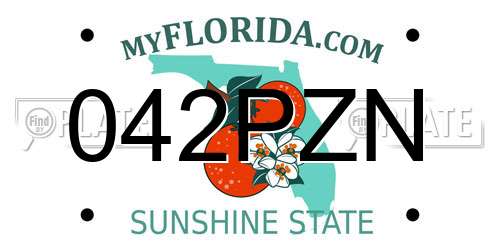042PZN Florida License Plate