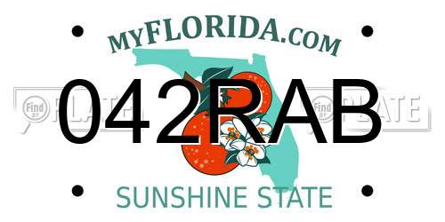 042RAB Florida License Plate