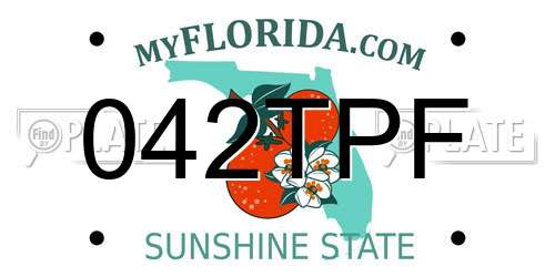 042TPF Florida License Plate