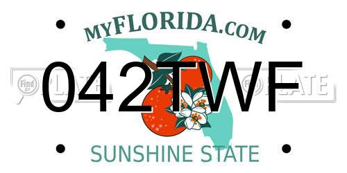 042TWF Florida License Plate