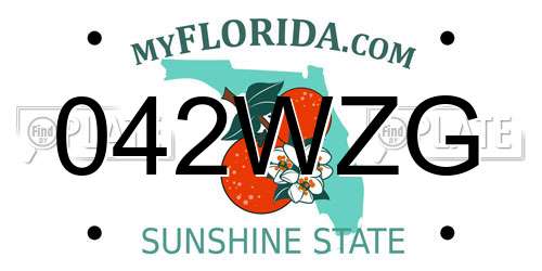 042WZG Florida License Plate