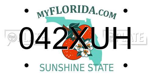 042XUH Florida License Plate