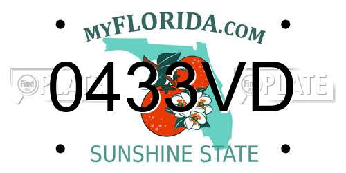 0433VD Florida License Plate