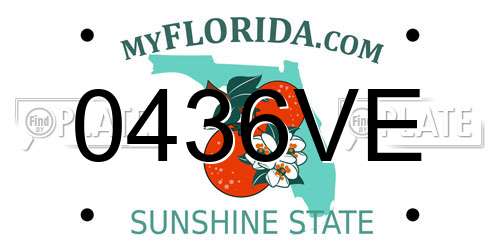 0436VE Florida License Plate