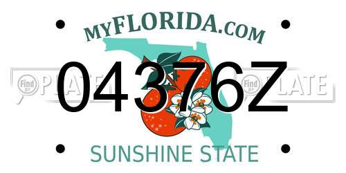 04376Z Florida License Plate